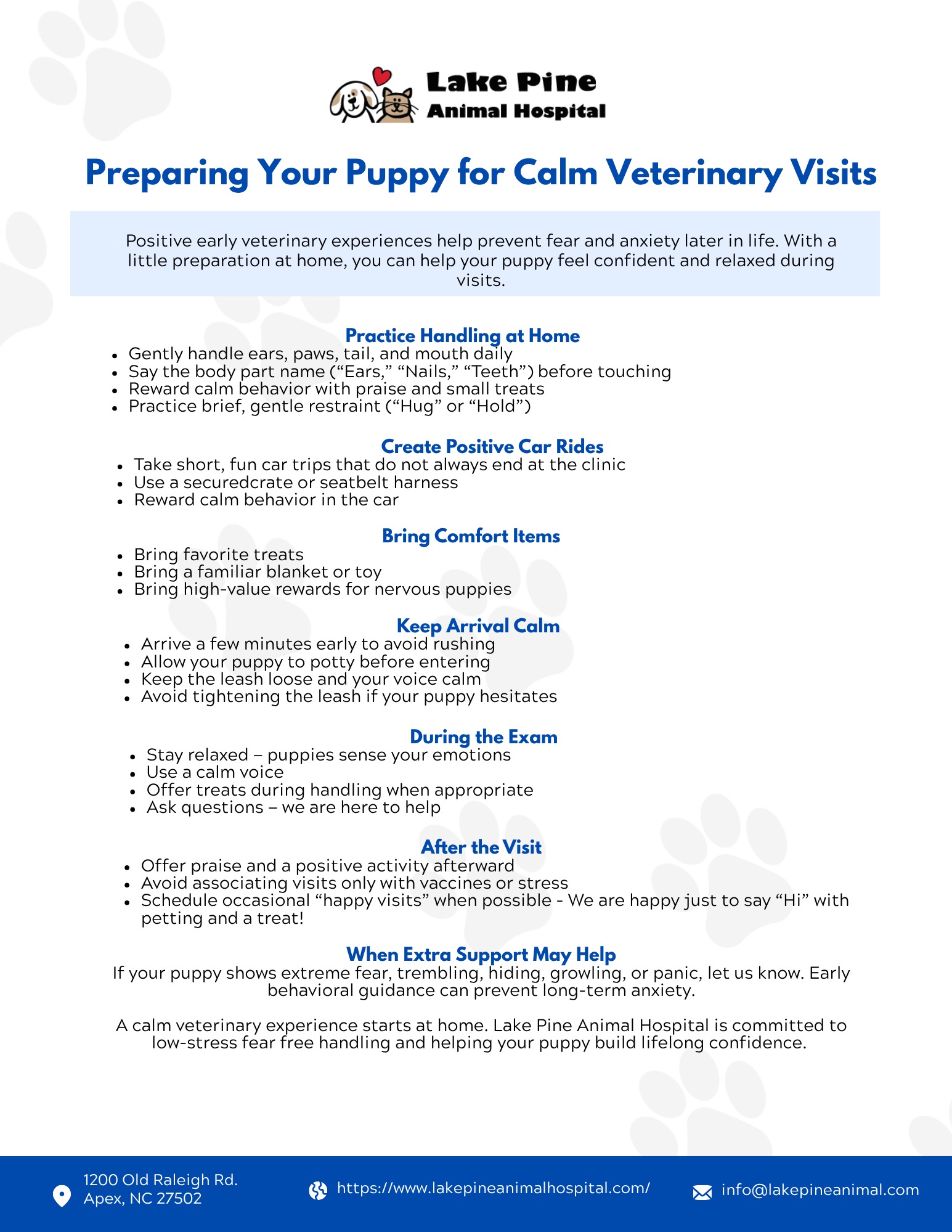Calm Puppy Vet Visits