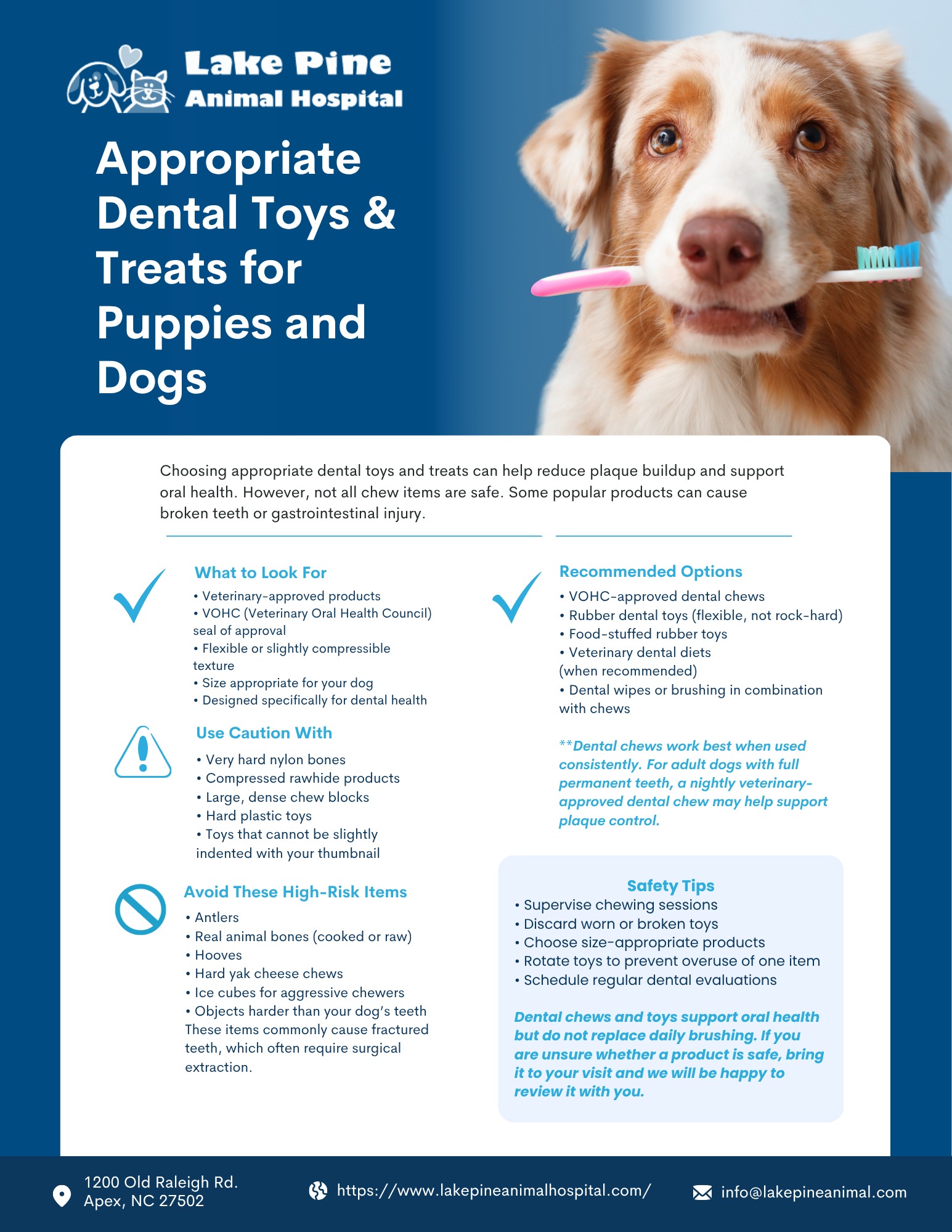 Dental Toys for Puppies & Dogs