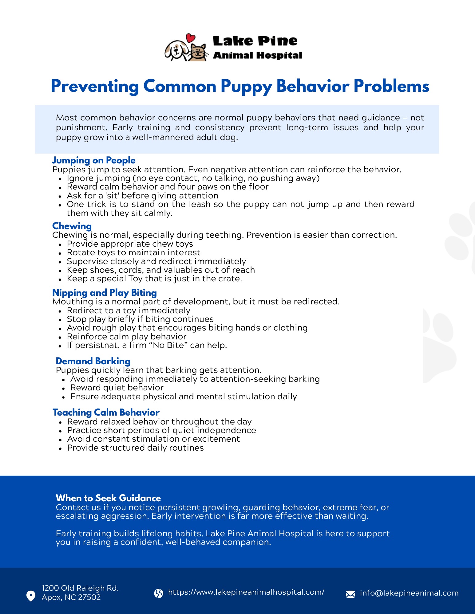 Preventing Common Puppy Behavior Problems