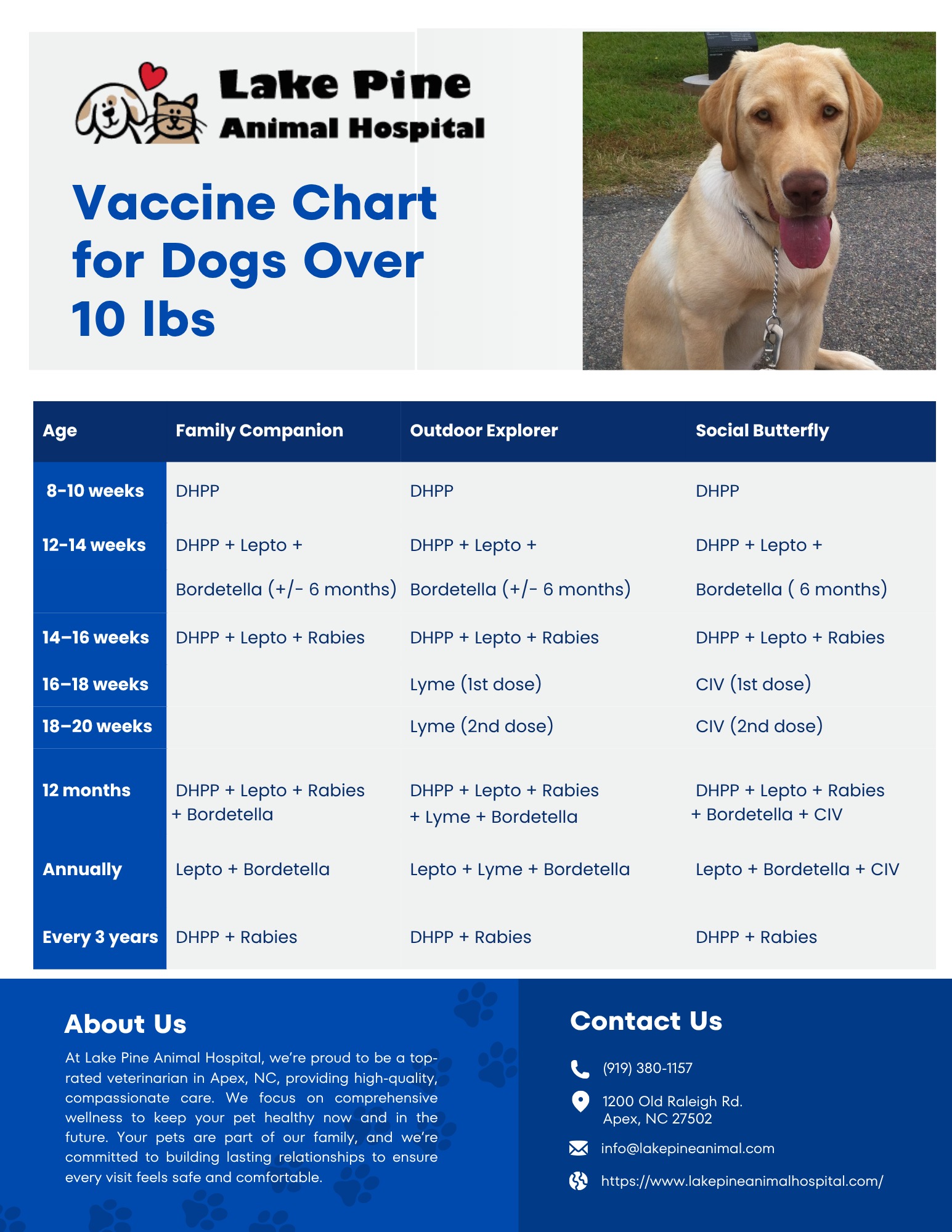 Puppy Vaccines over 10 lbs