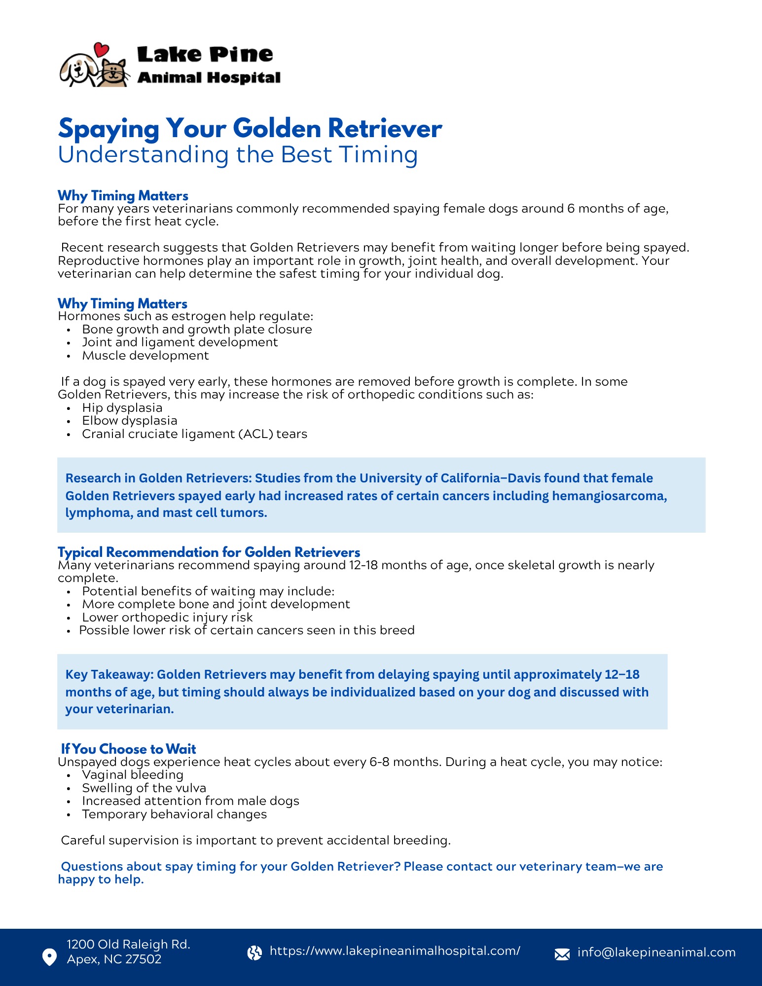 Spaying Recommendations for Golden Retrievers