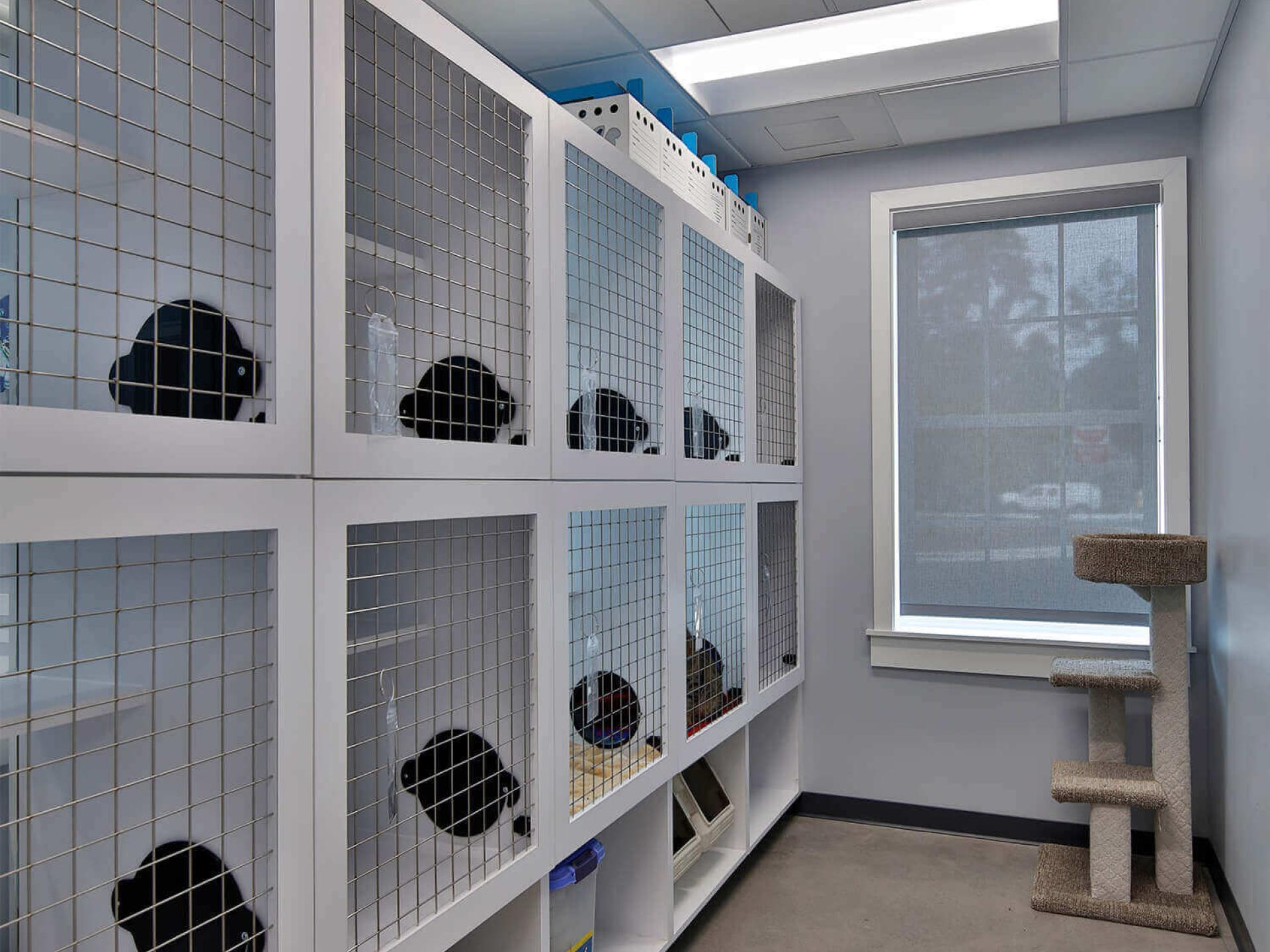 kennel-area